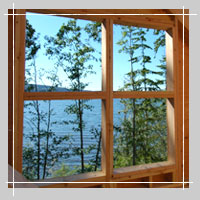 Green view out Window